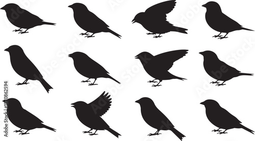 A collection of blackbird silhouettes in various poses and flight stages
