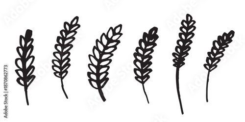 Set of hand drawn cereal wheat oat rye barley rice ears spikelet clipart Organic wheat bread agriculture farming harvest healthy food Single element for design print packaging label decor