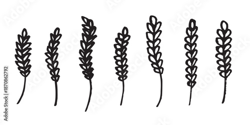 Set of hand drawn cereal wheat oat rye barley rice ears spikelet clipart Organic wheat bread agriculture farming harvest healthy food Single element for design print packaging label decor