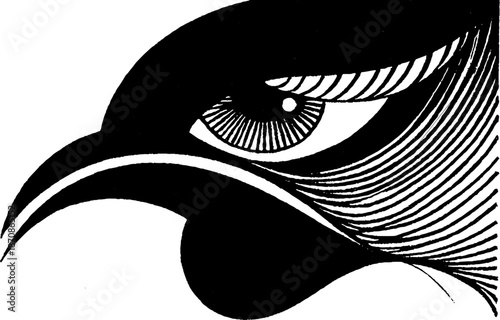 Stylized monochrome bird eye with detailed feather patterns