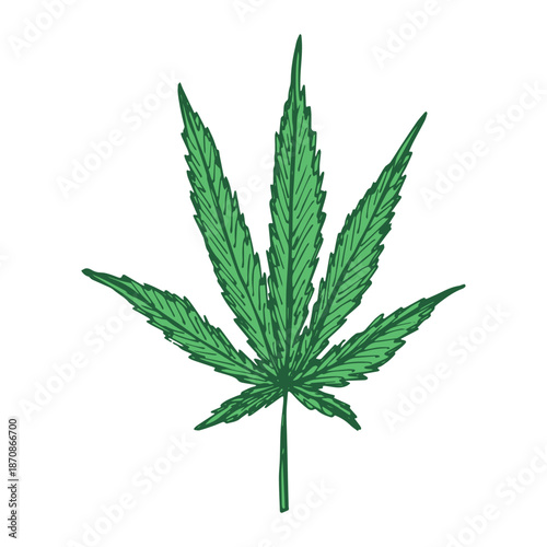 Hand drawn cannabis leaf Medicine marijuana Hemp leaves clipart in doodle style Single element for print, web, design, decor