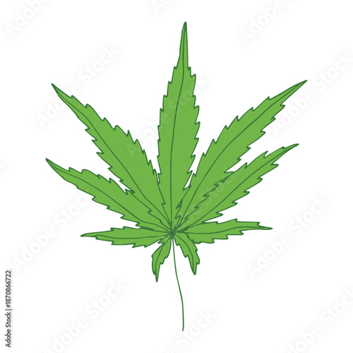 Hand drawn cannabis leaf Medicine marijuana Hemp leaves clipart in doodle style Single element for print, web, design, decor