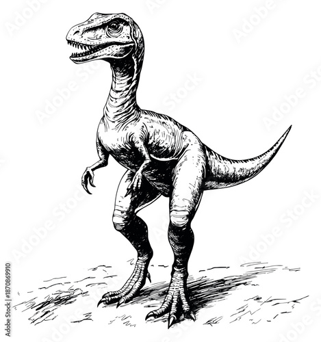 Hand drawn line art illustration of a dinosaur depicting a predatory stance for prehistoric themes