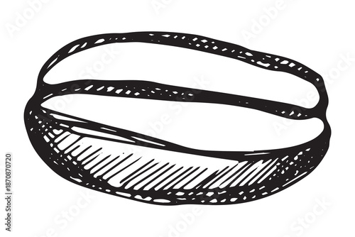 Hand drawn fresh roasted coffee bean Arabica robusta seed doodle Single element for print, web, design, decor