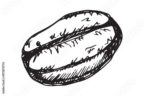Hand drawn fresh roasted coffee bean Arabica robusta seed doodle Single element for print, web, design, decor
