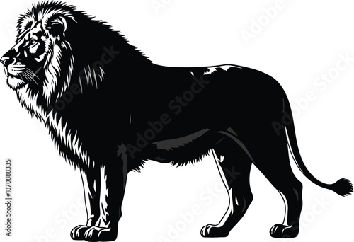 Majestic Lion Standing Wildlife Vector Illustration