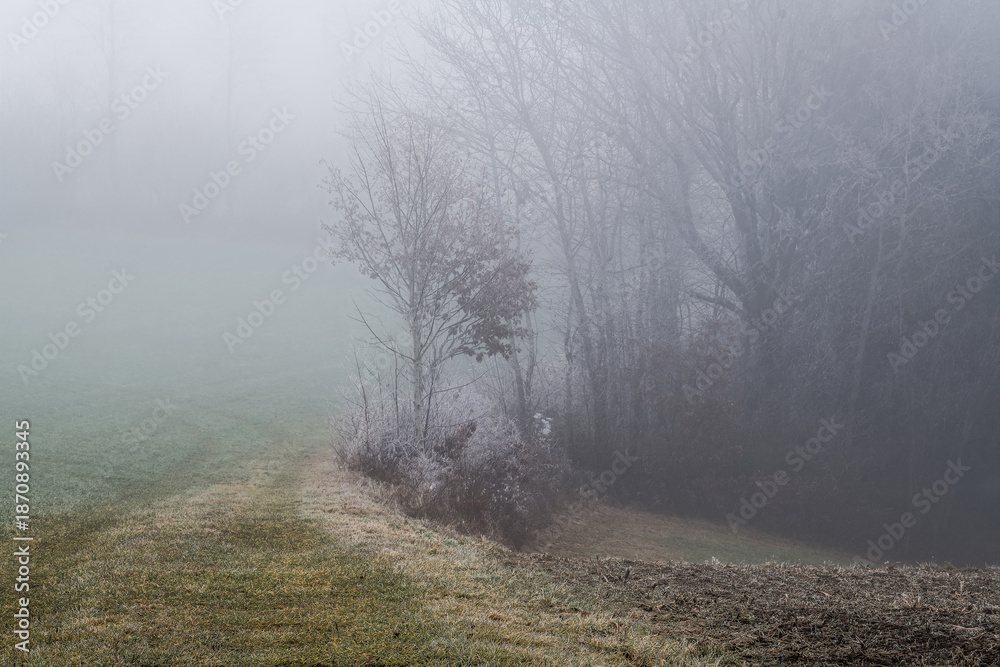 Obraz premium November Nebel Landschaften im Winter im bayerischen Wald, Deutschland