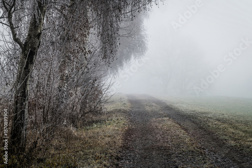 November Nebel Landschaften im Winter im bayerischen Wald, Deutschland
