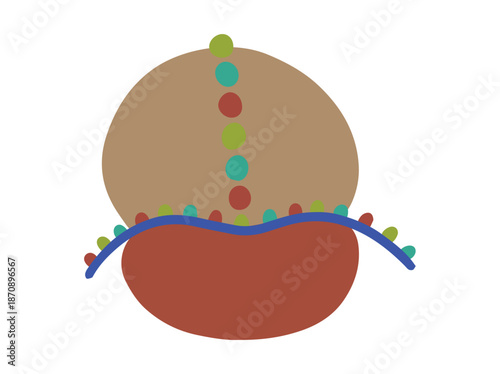 Structure Ribosome Anatomy Cell Illustration
