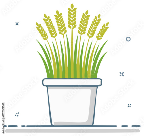 Decorative wheat plant in a pot, simple illustration of cereal crops indoors in minimal style, graphic design concept
