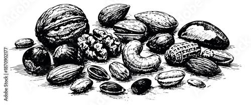 Hand drawn nuts set featuring walnuts, almonds, pistachios, cashews, and peanuts for healthy food concepts