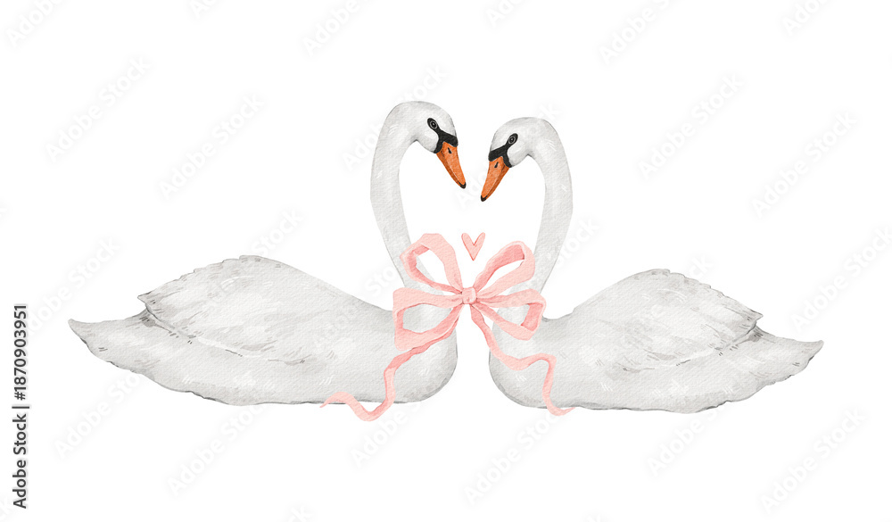 Fototapeta premium watercolor pair of swans with bow
