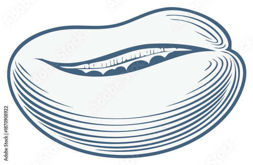 Single roasted coffee bean illustration in a classic engraving line art style