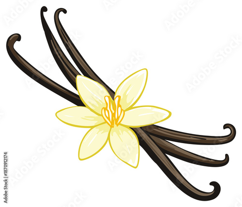 Elegant Vanilla Bean Flower Arrangement Simple Flavoring Ingredient Design