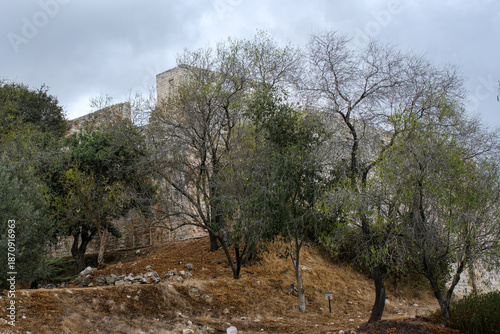 Ancient Ruins of the Crusader Fortress of Yehiam in the Galilee Region, Israel