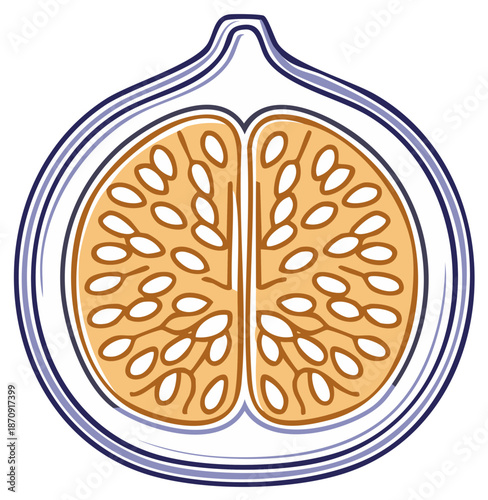 Stylized vector icon of a fresh ripe fig fruit cut in half showing the internal seeds and pulp