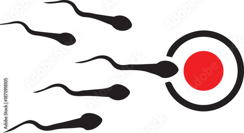 sperm cells swimming toward red egg cell illustration showing fertilization process and human reproduction conception biology diagram isolated on white background.