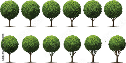 Green tree vector illustration set with rounded foliage variations, natural forest and garden elements isolated on white background