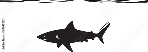 Flying Birds Flock Silhouette in the Sky

Migratory Birds Black and White Silhouette

Birds in Flight Nature Vector Illustration