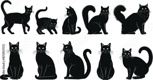 Black cat silhouette vector collection, elegant feline poses set for halloween themes, pet branding, logos, icons, illustrations, minimal flat design