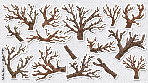 Collection of bare tree branches in various shapes and sizes