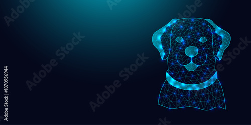 Low poly wireframe labrador retriever dog on dark blue background.