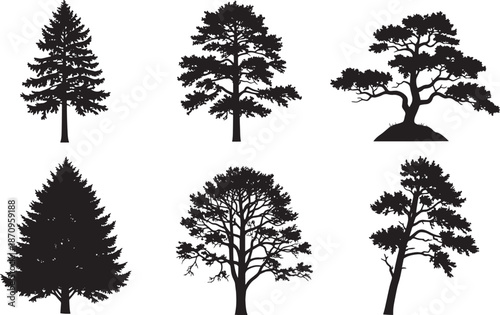 Detailed pine and spruce tree silhouettes for landscape composition