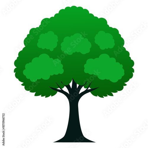 Vibrant green tree with lush canopy Vector