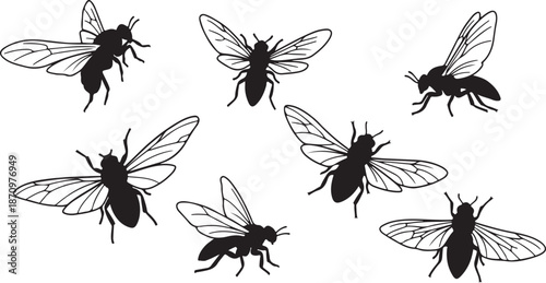 Black and white illustration of flying insects