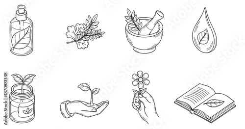 A collection of herbal and botanical elements including a bottle, leaves, mortar and pestle, and hands in minimalist outline vector style, ideal for wellness and natural product branding