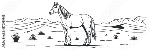 A standing horse in a desert landscape with sparse vegetation in black and white outline vector style, ideal for wildlife illustrations