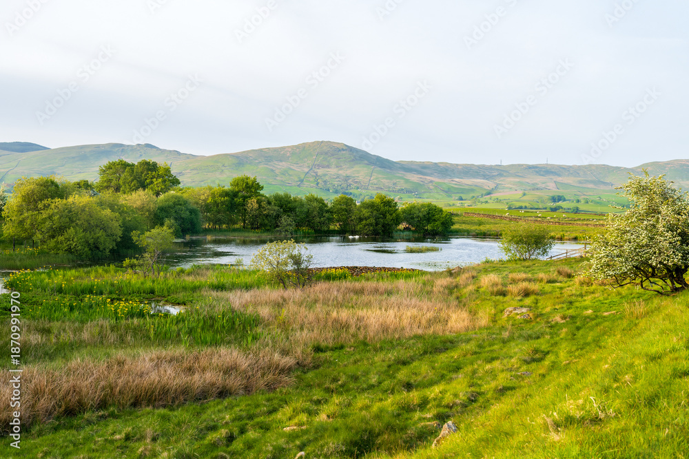 Obraz premium Paysage rural verdoyant autour de Patton près de Kendal, collines et zones humides de la Cumbria au printemps, Angleterre