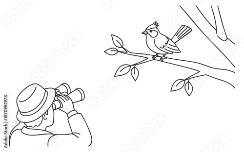 A birdwatcher using binoculars to observe a bird perched on a branch in minimalist line art style, perfect for nature-themed projects