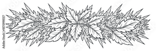 A decorative border of intricately detailed leaves in black and white outline vector style, suitable for nature-themed designs