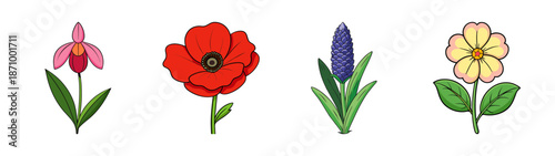 Beautiful floral arrangement of spring flowers illustration including poppy lavender and other blooms