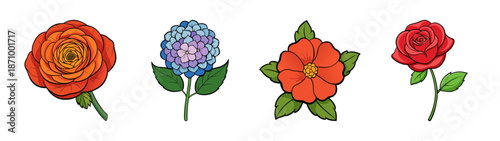 Beautiful floral arrangement of roses and hyacinths for botanical illustration and art prints