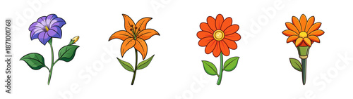 Beautiful floral vector art illustration featuring a variety of colorful flower species and blooms