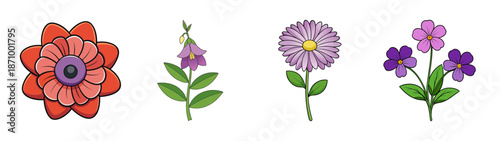 Floral illustration set featuring red poppy, purple bellflower, daisy, and violet flowers art