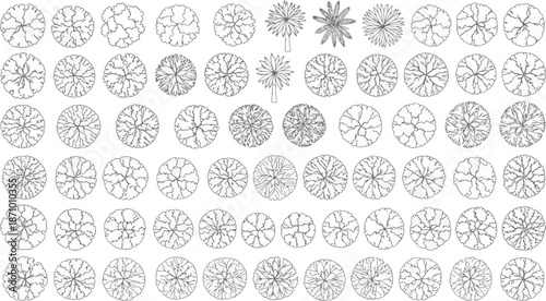 Detailed Overhead Sketches of Various Trees. An intricate collection of hand-drawn tree top-down views, offering a rich resource for designers, architects.