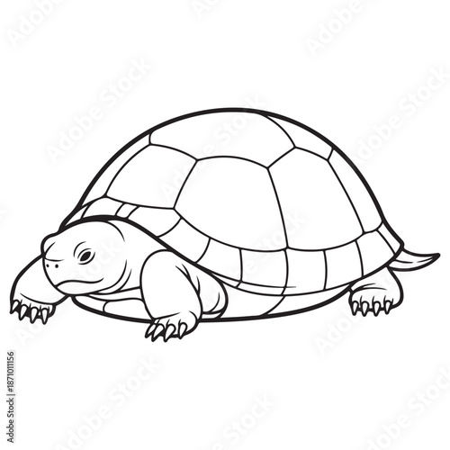 Simple Black and White Line Art Drawing of a Turtle