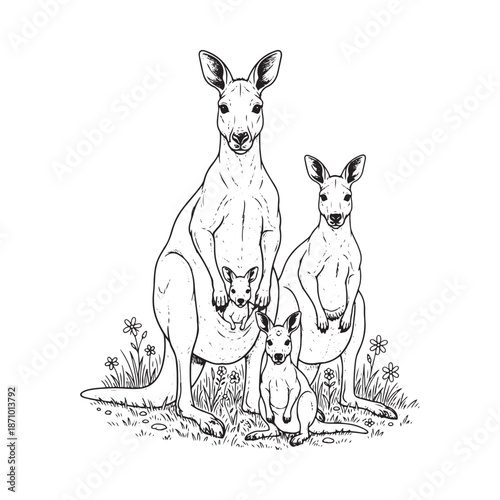 Kangaroo Family with Joey Black and White Wildlife Illustration in Australian Scene