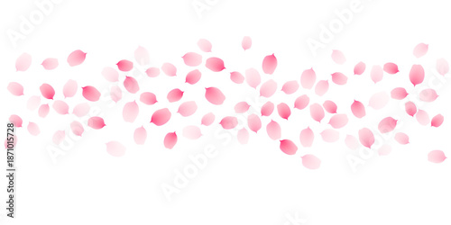 Sakura cherry petals, pink apricot flowers falling border. Vector background