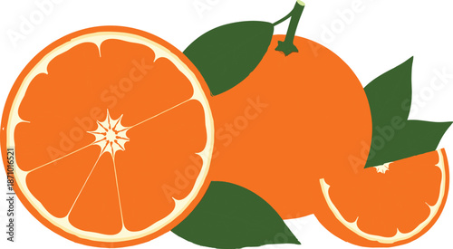Orange fruit set whole, sliced, and wedge, fresh citrus illustration with leaf and segment detail – flat vector illustration