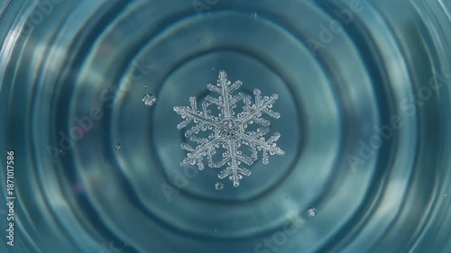 This icy blue macro photograph shows a detailed snowflake png resting on the water surface, generating beautiful, calming circular ripples.