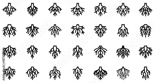 Collection of black and white plant root icons on white background tree nature