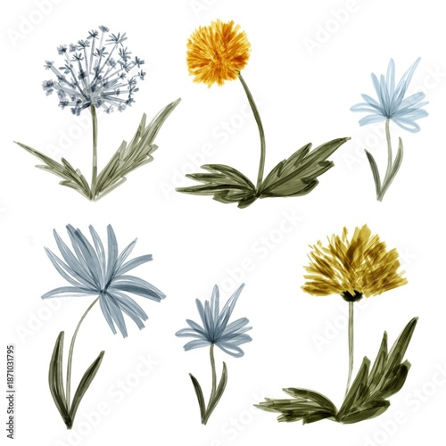 Hand-drawn botanical illustration of wildflowers in soft pastel colors. Artistic sketch style with delicate petals, stems and leaves on a white background.
