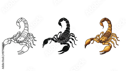 Scorpion set outline drawing, silhouette, and realistic color illustration of a dangerous arachnid pest