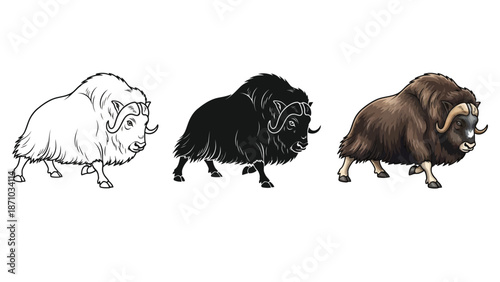 Three illustrations of a musk ox outline drawing, silhouette and full color drawing