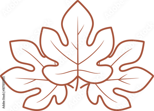 Three detailed outline fig leaves, deciduous tree foliage element for natural and organic product design. Vector illustration