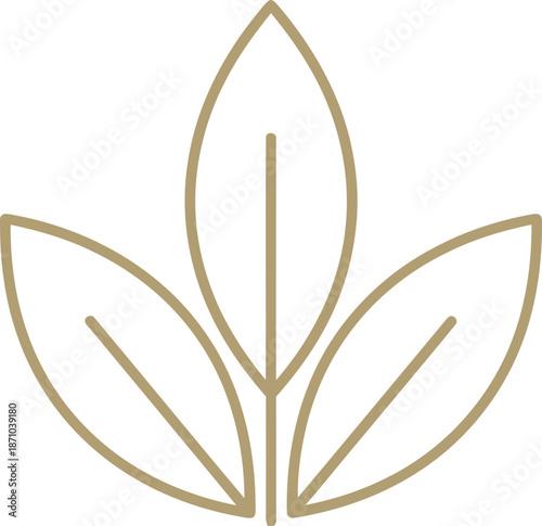 Three leaves connected at center in thin golden outline. Nature and organic concept. Vector illustration for logo, emblem, symbol, icon